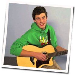 Never Let Me Go Chords by Shawn Mendes