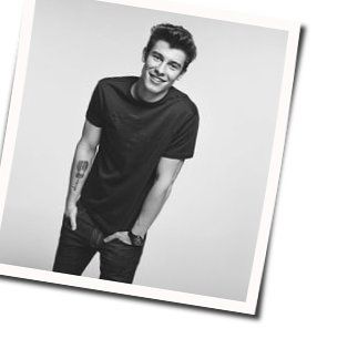 Particular Taste Chords by Shawn Mendes