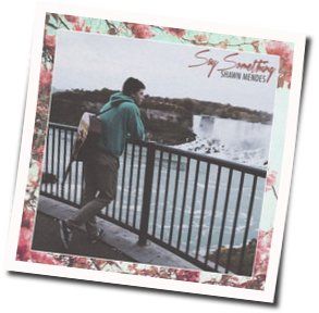 Say Something Chords by Shawn Mendes