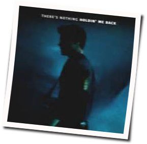 There's Nothing Holdin Me Back  by Shawn Mendes