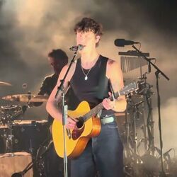 Who I Am Chords by Shawn Mendes