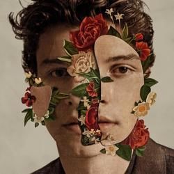 Why by Shawn Mendes