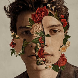 Youth Ukulele Chords by Shawn Mendes