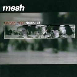 Leave You Nothing by Mesh
