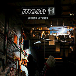 The Traps We Made Chords by Mesh