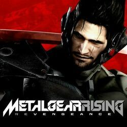 The Only Thing I Know For Real by Metal Gear Rising