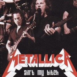 Ain't My Bitch by Metallica