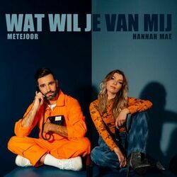 Wat Wil Je Van Mij Chords by Metejoor