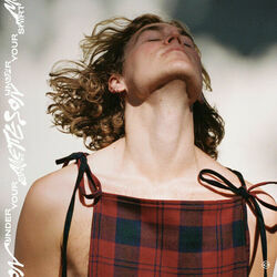 Under Your Shirt Ukulele Chords by Metteson