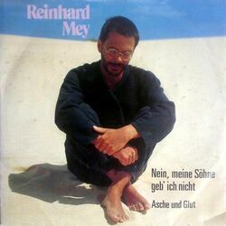 Nein Meine Soehne Geb Ich Nicht Chords by Reinhard Mey
