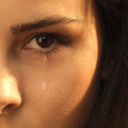 Loyal To Myself Chords by Lena Meyer-Landrut