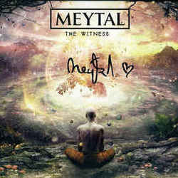 Delusion Chords by Meytal