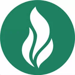 All I Want Chords by Mfc Singles