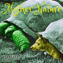 Mother Nature Chords by MGMT