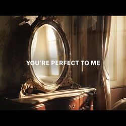 Perfect To Me Chords by Michael Sanzone