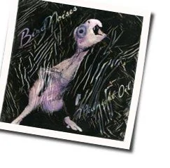 Knifes Edge Chords by Midnight Oil