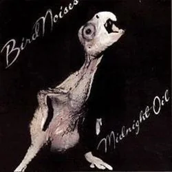 No Time For Games Tab by Midnight Oil