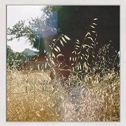 On The Day I Leave Chords by Mikey Ferrari