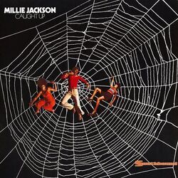 Summer The First Time Chords by Millie Jackson