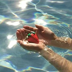 Easy As All That Chords by Miniature Tigers