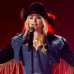 Armadillo Chords by Miranda Lambert