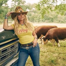 Way Too Good At Breaking My Heart Chords by Miranda Lambert