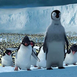 Happy Feet - The Leader Of The Pack Chords by Cartoons Music