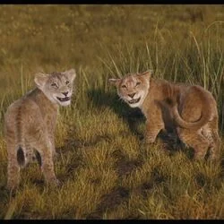 Mufasa The Lion King - I Always Wanted A Brother Chords by Cartoons Music