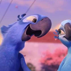 Rio - Fly Love Tab by Cartoons Music