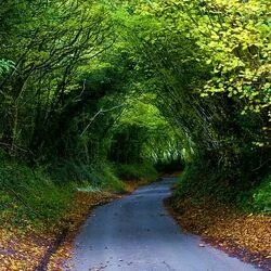 The Hobbit - Roads Chords by Cartoons Music