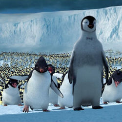 Happy Feet - The Leader Of The Pack by Cartoons Music