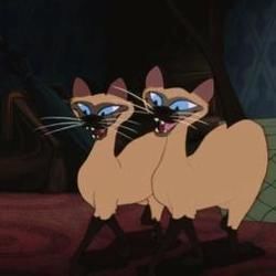 Lady And The Tramp - We Are Siamese Chords by Cartoons Music
