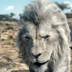 Mufasa The Lion King - Bye Bye Chords by Cartoons Music