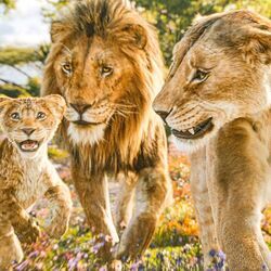 Mufasa The Lion King - Milele Chords by Cartoons Music