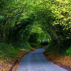 The Hobbit - Roads Chords by Cartoons Music