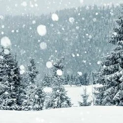 Let It Snow (Ver2) Tab by Christmas Songs