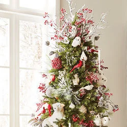 Pine Cones And Holly Berries - It's Beginning To Look A Lot Like Christmas Chords by Christmas Songs