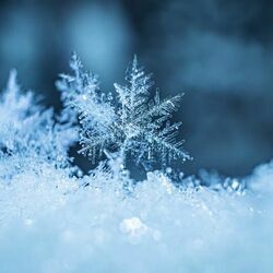 Blanca Navidad Chords by Christmas Songs