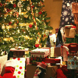 Christmas Trees Are Falling From The Sky Chords by Christmas Songs