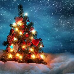 Hoy Te Quiero Cantar Chords by Christmas Songs