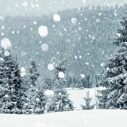 Let It Snow  Chords by Christmas Songs