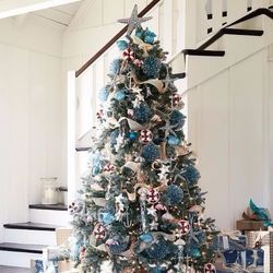 O Christmas Tree  by Christmas Songs