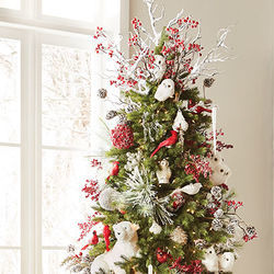 Pine Cones And Holly Berries - It's Beginning To Look A Lot Like Christmas Chords by Christmas Songs
