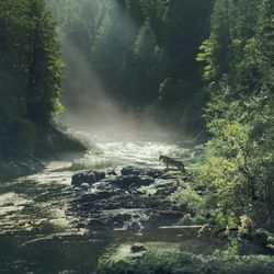 Far Cry 5 - Jacob Loading Screen Chords by Misc Computer Games