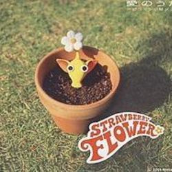 Pikmin - Ai No Uta Chords by Misc Computer Games