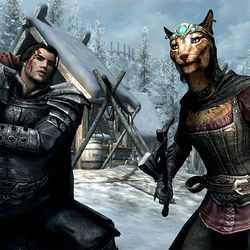 The Elder Scrolls V Skyrim by Misc Computer Games