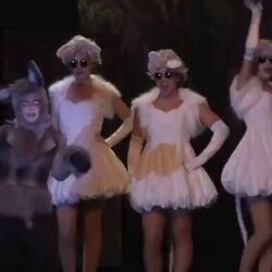 Shrek The Musical Jr - Make A Move by Misc Musicals