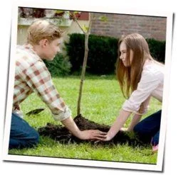 Flipped Suite Theme Tab by Soundtracks 🎦