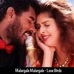 Love Birds - Malargale Malargale Chords by Soundtracks 🎦