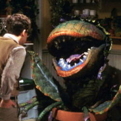 Little Shop Of Horrors - Feed Me Git It Bass Tab by Soundtracks